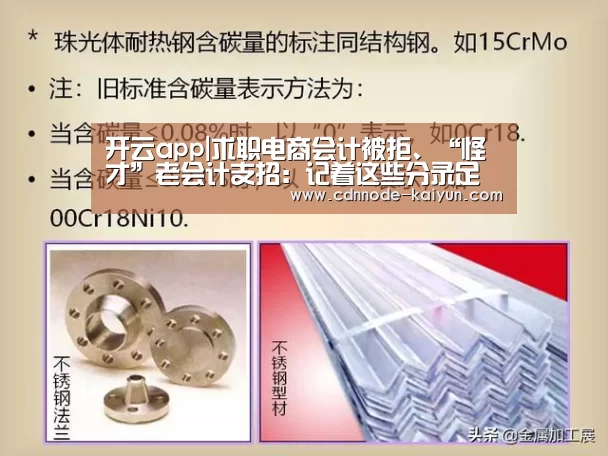 开云app|求职电商会计被拒、“怪才”老会计支招:记着这些分录足够了(图1) 开元棋牌网址