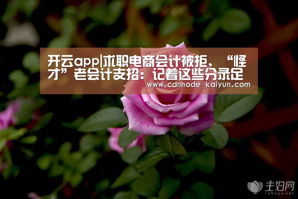开云app|求职电商会计被拒、“怪才”老会计支招:记着这些分录足够了(图2) 开元