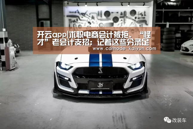 开云app|求职电商会计被拒、“怪才”老会计支招:记着这些分录足够了(图3) 开元棋牌网址