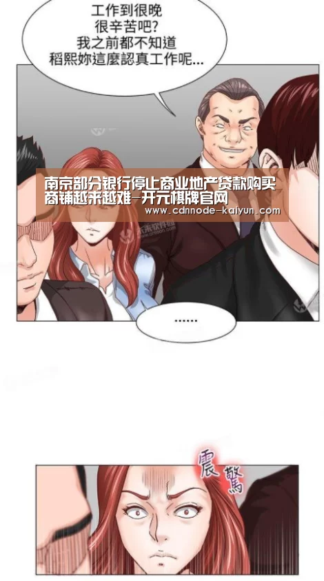 南京部分银行停止商业地产贷款购买商铺越来越难-开元棋牌官网(图4) 开元棋牌网址