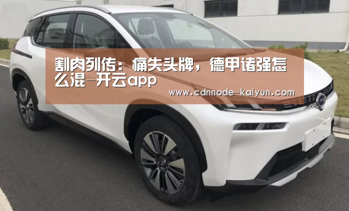 割肉列传:痛失头牌,德甲诸强怎么混-开云app(图1) 开元棋牌官网